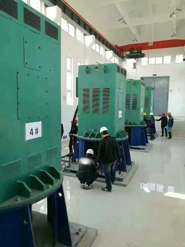 华亭某污水处理厂使用我厂的立式高压电机安装现场